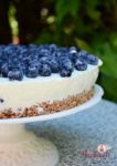 Joghurt Heidelbeer Torte